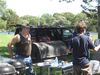 Chapter_Picnic_2010_008.jpg