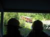 IMG_4967.JPG