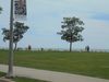 DSC01134.JPG